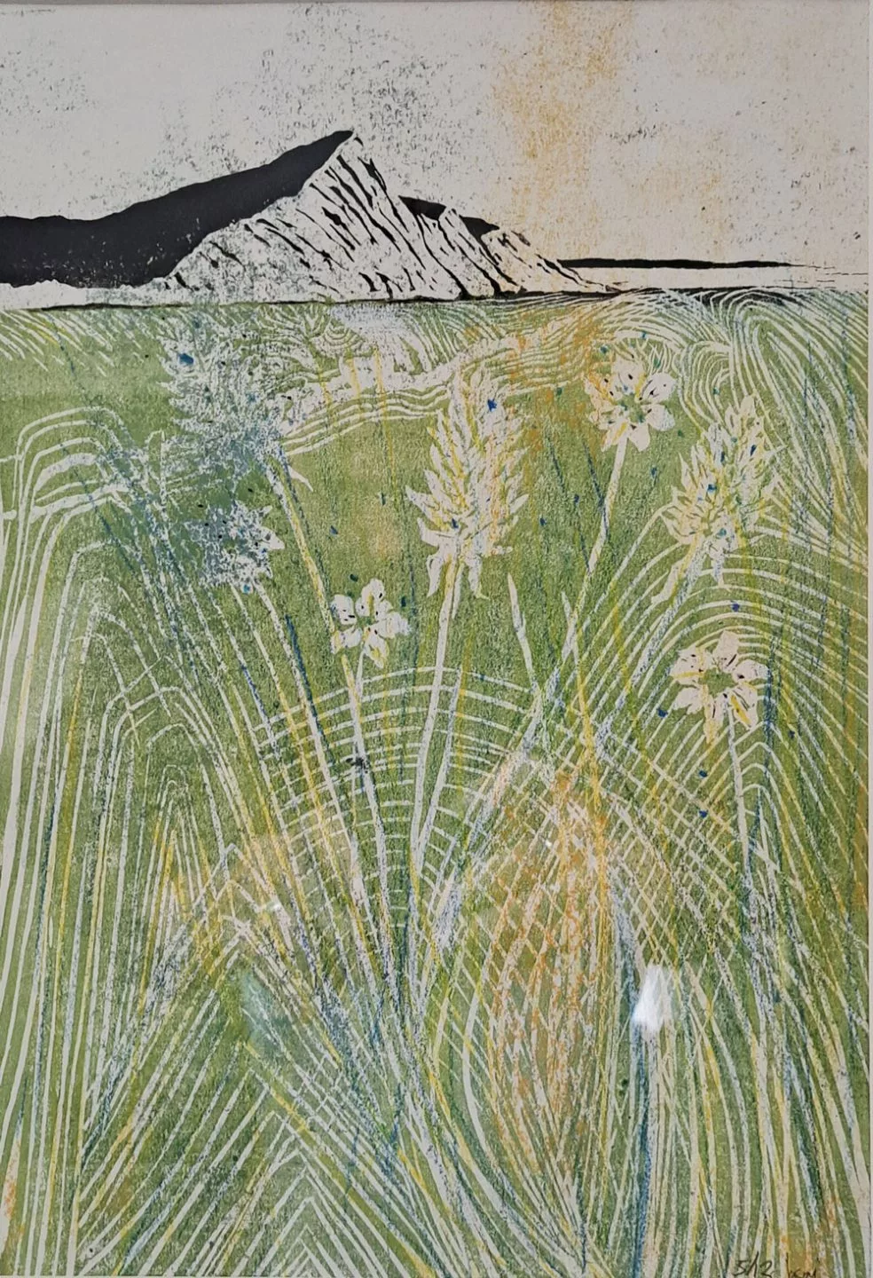 An artwork depicting a soft, textured landscape. In the background, a long jagged cliff formation stretches horizontally, rendered in dark and light earthy tones. Below the cliffs, the foreground is filled with tall meadow grasses and wildflowers. The grasses are illustrated with sweeping, curved white lines that create a sense of movement, as if wind is blowing through them. Among the green and yellow hues of the field, pale flowers with delicate petals stand scattered throughout. The overall color palette is muted greens, light yellows, and soft blues, giving the image a calm, natural atmosphere. The style resembles a combination of printmaking and painting, with visible textures and layered marks.