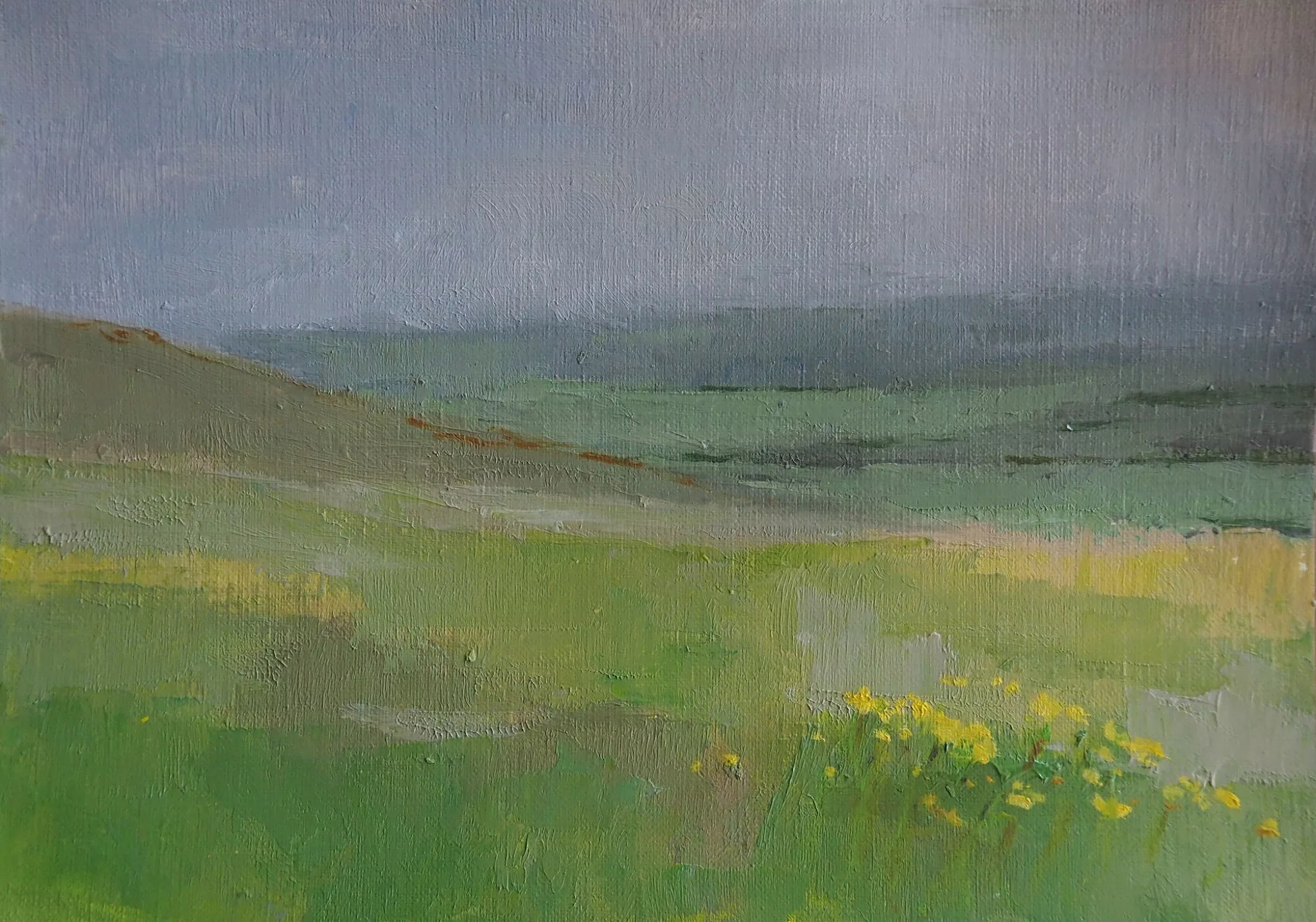 A landscape painting by artist Jane showing rolling countryside viewed from an elevated position. The foreground is filled with soft green fields painted in broad, textured brushstrokes, with small patches of yellow suggesting wildflowers. The land slopes gently downward toward the middle distance, where the greens become cooler and more muted. In the background, distant hills stretch across the horizon beneath a pale grey‑blue sky. The overall colour palette is subdued and natural, with layered greens, muted yellows, and soft blues, and the surface of the painting shows visible brush texture throughout.