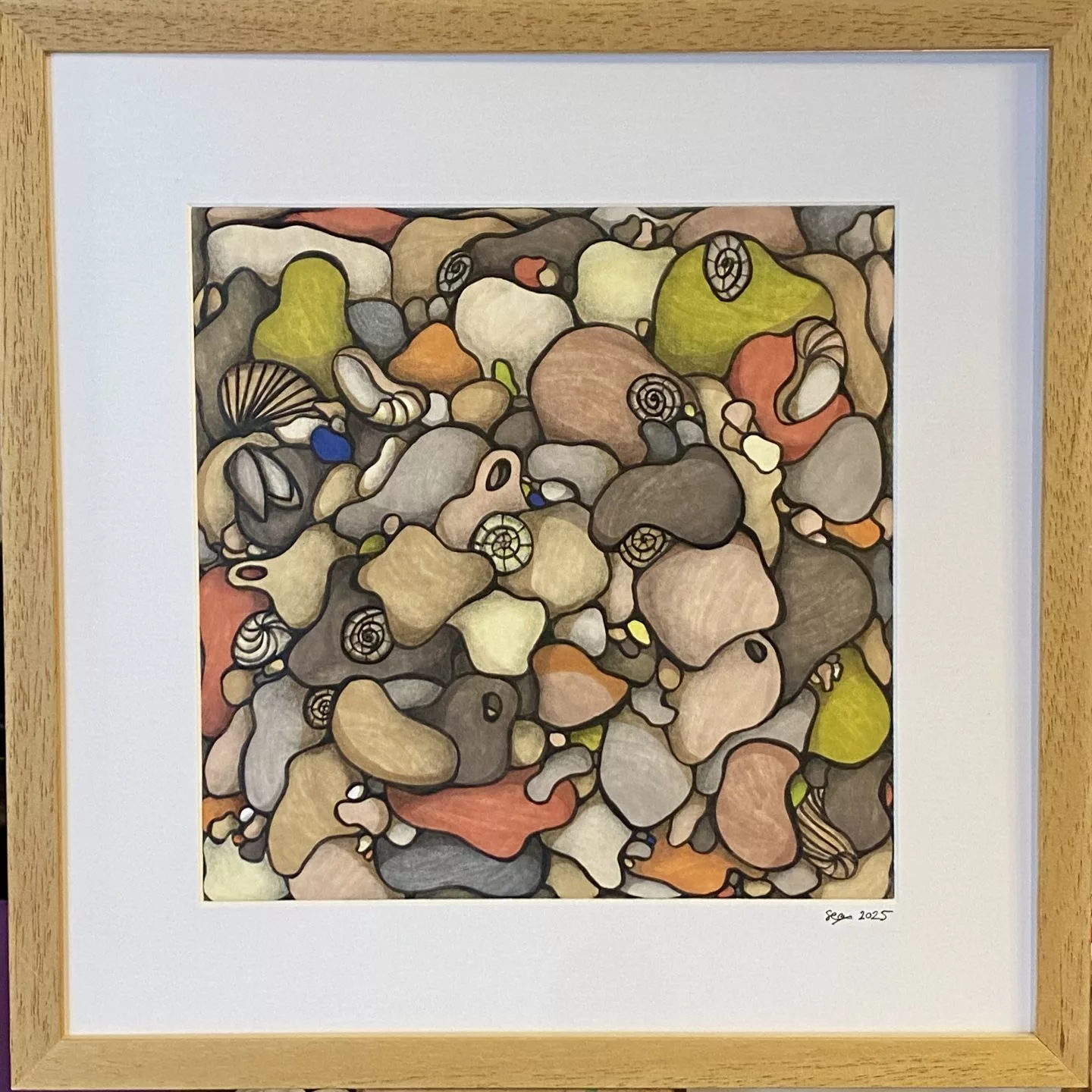 Sea Shucksmith