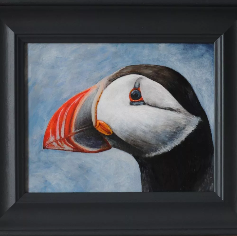 Portrait of a puffin