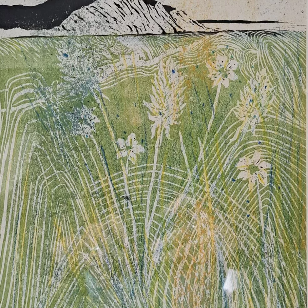 An artwork depicting a soft, textured landscape. In the background, a long jagged cliff formation stretches horizontally, rendered in dark and light earthy tones. Below the cliffs, the foreground is filled with tall meadow grasses and wildflowers. The grasses are illustrated with sweeping, curved white lines that create a sense of movement, as if wind is blowing through them. Among the green and yellow hues of the field, pale flowers with delicate petals stand scattered throughout. The overall color palette is muted greens, light yellows, and soft blues, giving the image a calm, natural atmosphere. The style resembles a combination of printmaking and painting, with visible textures and layered marks.