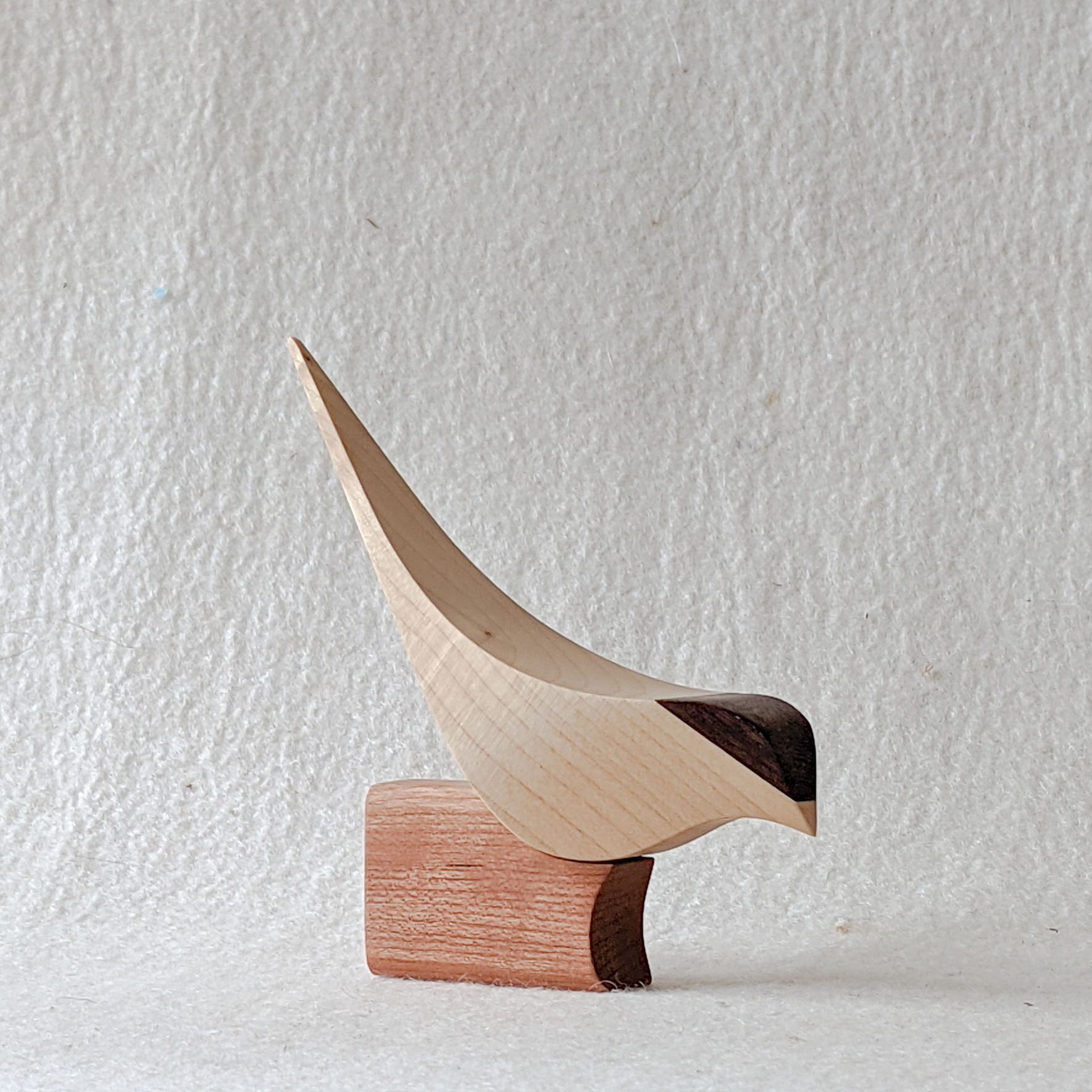 LOT 07 - Arctic Tern_Tom Wilson