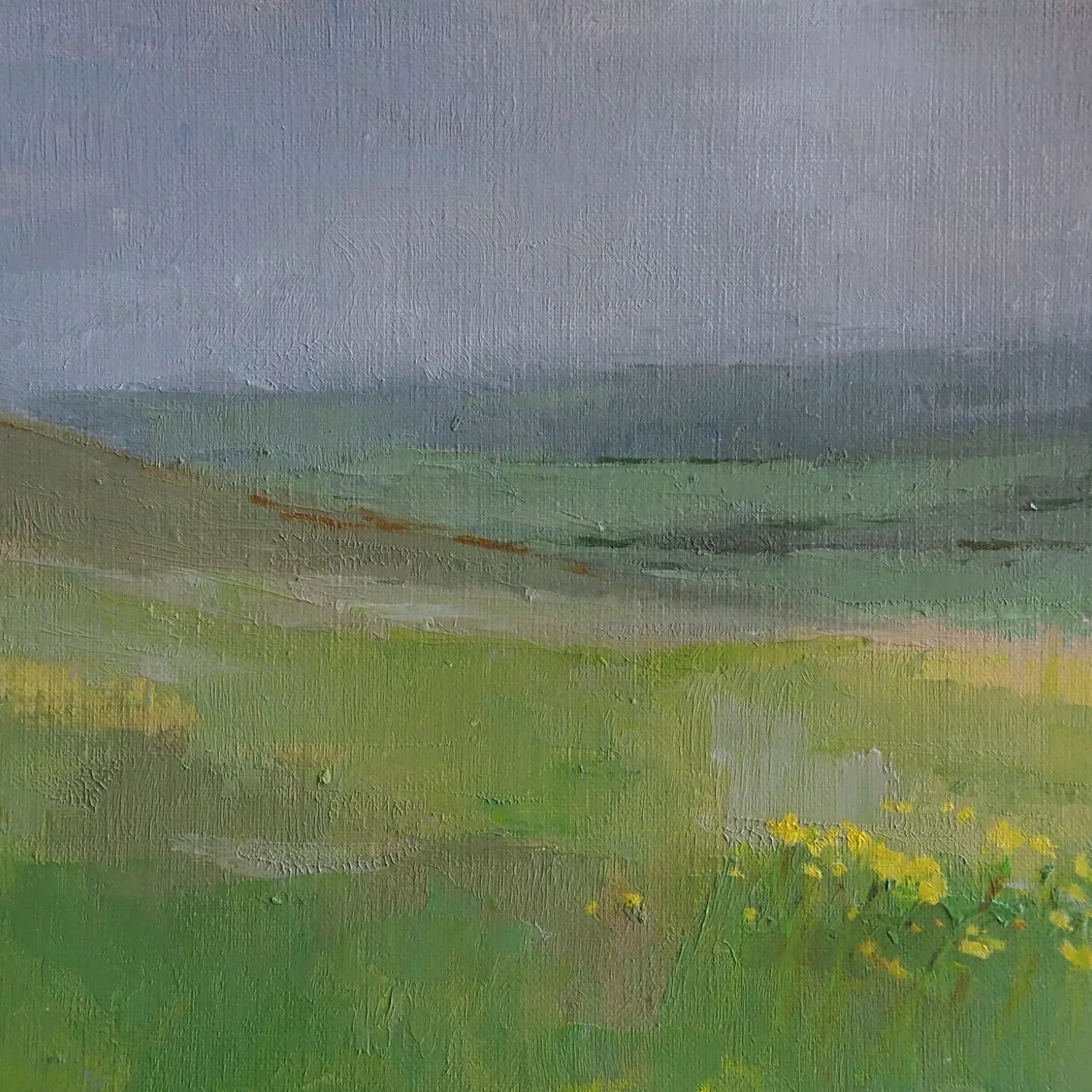 A landscape painting by artist Jane showing rolling countryside viewed from an elevated position. The foreground is filled with soft green fields painted in broad, textured brushstrokes, with small patches of yellow suggesting wildflowers. The land slopes gently downward toward the middle distance, where the greens become cooler and more muted. In the background, distant hills stretch across the horizon beneath a pale grey‑blue sky. The overall colour palette is subdued and natural, with layered greens, muted yellows, and soft blues, and the surface of the painting shows visible brush texture throughout.