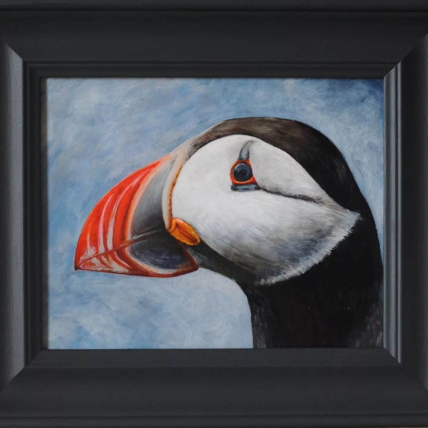 Puffin_Myles_Dacre
